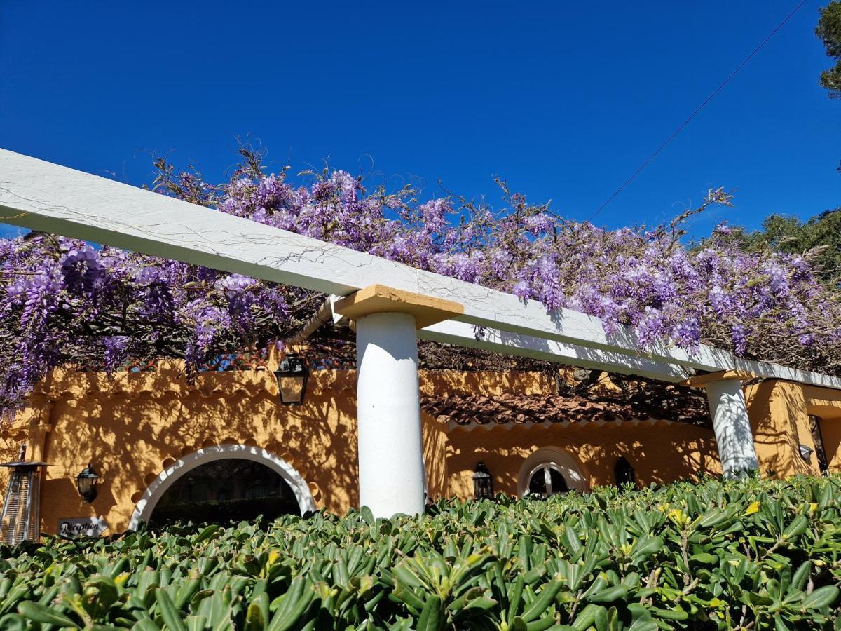 Hotel Le Cosy Saint Aygulf Exterior foto